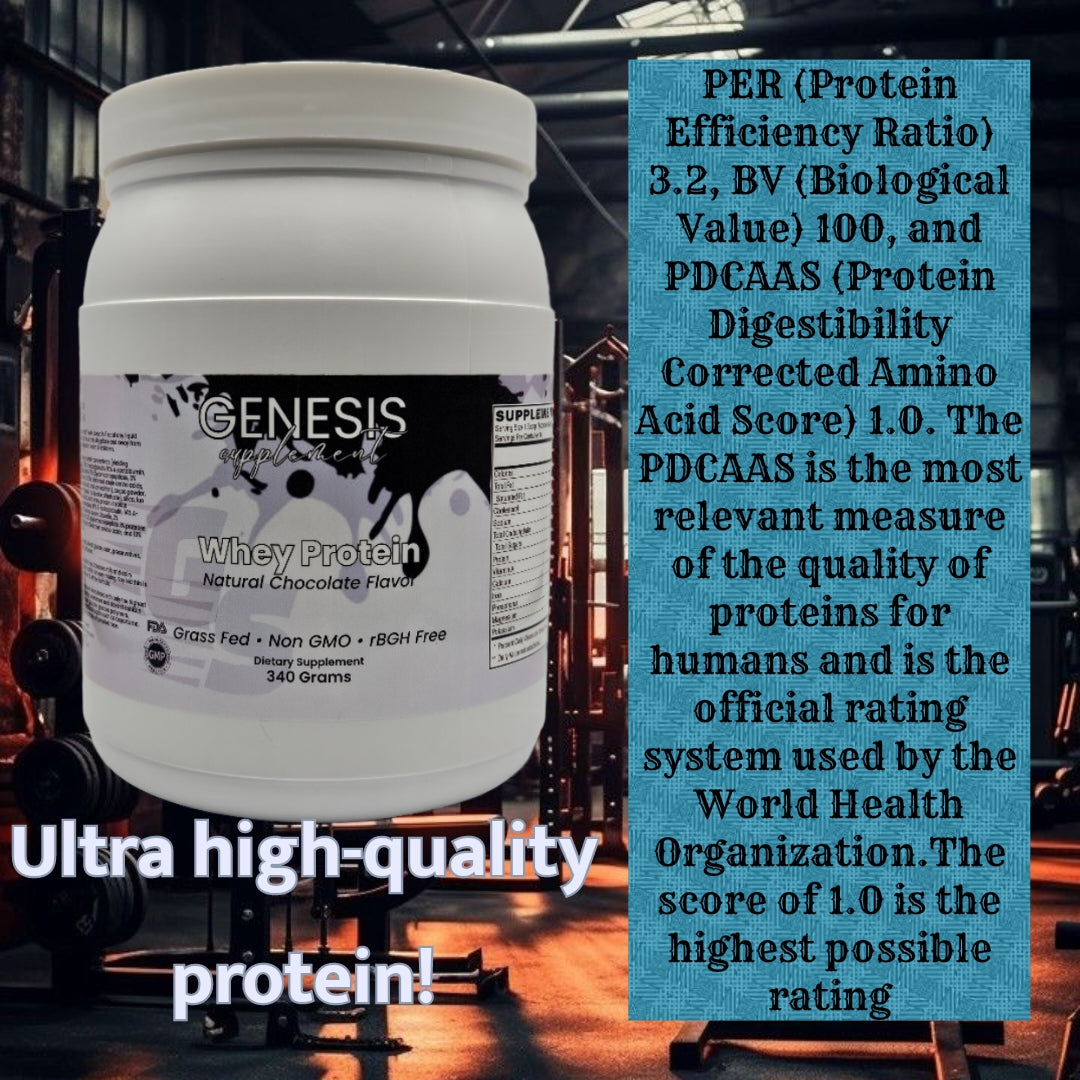 Whey Protein Chocolate